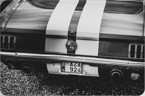 @Photos-issues-du-reportage-photos-video-de-mariage-couvert-par-le-Studio-7700BE-Chez-Fhano-ANNE-SOPHIE-ET-MICHAEL-20-07-2022-00013