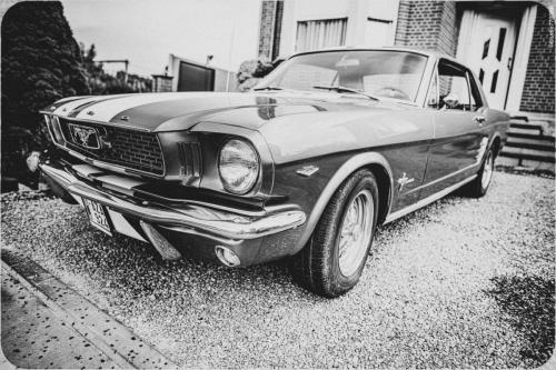 @Photos-issues-du-reportage-photos-video-de-mariage-couvert-par-le-Studio-7700BE-Chez-Fhano-ANNE-SOPHIE-ET-MICHAEL-20-07-2022-00018