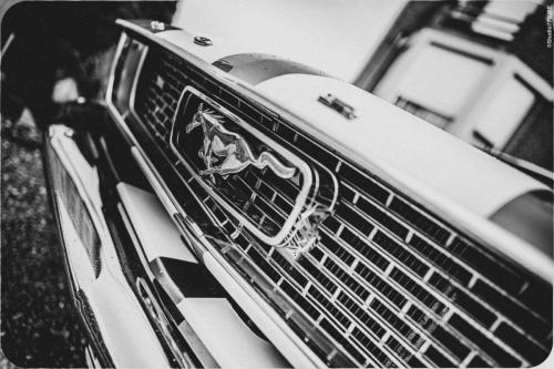 @Photos-issues-du-reportage-photos-video-de-mariage-couvert-par-le-Studio-7700BE-Chez-Fhano-ANNE-SOPHIE-ET-MICHAEL-20-07-2022-00020