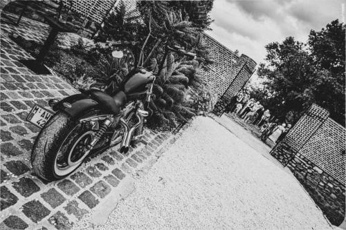 @Photos-issues-du-reportage-photos-video-de-mariage-couvert-par-le-Studio-7700BE-Chez-Fhano-ANNE-SOPHIE-ET-MICHAEL-20-07-2022-00817