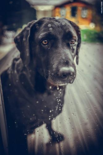 @Photos-issues-du-reportage-photos-video-de-mariage-couvert-par-le-Studio-7700BE-Chez-Fhano-CELINE-ET-BENJAMIN-04122021-0089