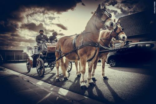 @Photos-issues-du-reportage-photos-video-de-mariage-couvert-par-le-Studio-7700BE-Chez-Fhano-ELODIE-ET-YOHANN-05022022-0406