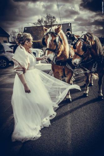 @Photos-issues-du-reportage-photos-video-de-mariage-couvert-par-le-Studio-7700BE-Chez-Fhano-ELODIE-ET-YOHANN-05022022-0411