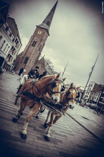 @Photos-issues-du-reportage-photos-video-de-mariage-couvert-par-le-Studio-7700BE-Chez-Fhano-ELODIE-ET-YOHANN-05022022-0851