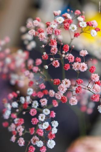 @Photos-issues-du-reportage-photos-video-de-mariage-couvert-par-le-Studio-7700BE-Chez-Fhano-17-09-2022-JENNIFER-ET-TEDDY-00001