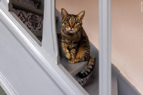 @Photos-issues-du-reportage-photos-video-de-mariage-couvert-par-le-Studio-7700BE-Chez-Fhano-17-09-2022-JENNIFER-ET-TEDDY-00082