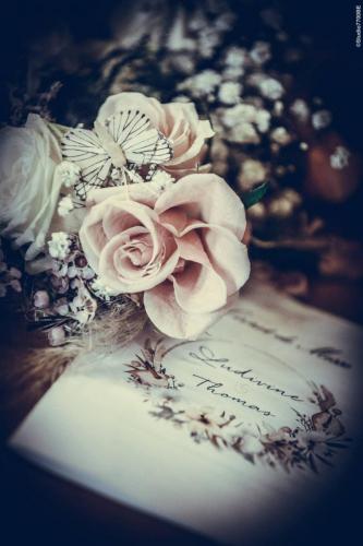 @Photos-issues-du-reportage-photos-video-de-mariage-couvert-par-le-Studio-7700BE-Chez-Fhano-20-08-2022-LUDIVINE-ET-THOMAS-00673