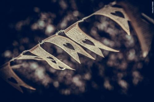 @Photos-issues-du-reportage-photos-video-de-mariage-couvert-par-le-Studio-7700BE-Chez-Fhano-NOEMIE-ET-LOIC-06-08-2022-00988