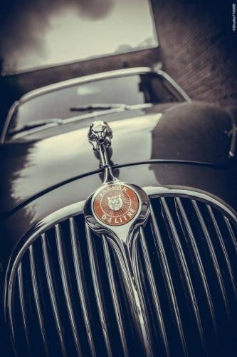 @Photos-issues-du-reportage-photos-video-de-mariage-couvert-par-le-Studio-7700BE-Chez-Fhano-VIRGINIE-ET-MATTHIAS-09122021-0151