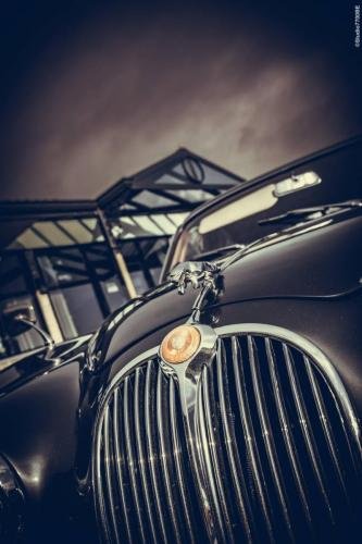 @Photos-issues-du-reportage-photos-video-de-mariage-couvert-par-le-Studio-7700BE-Chez-Fhano-VIRGINIE-ET-MATTHIAS-09122021-0573